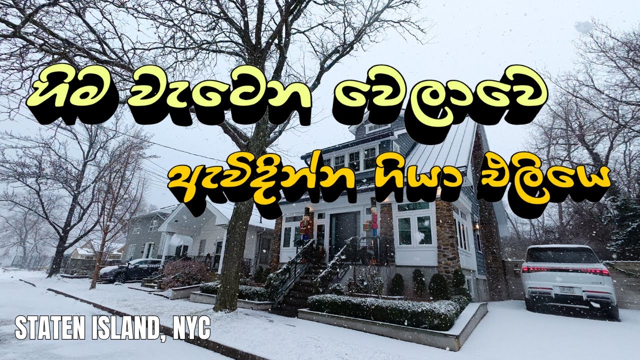 හිම වැටෙන වෙලාවෙ | Snowfall Walk in Staten Island 4K ❄️ #snowfall #nyc #srilanka