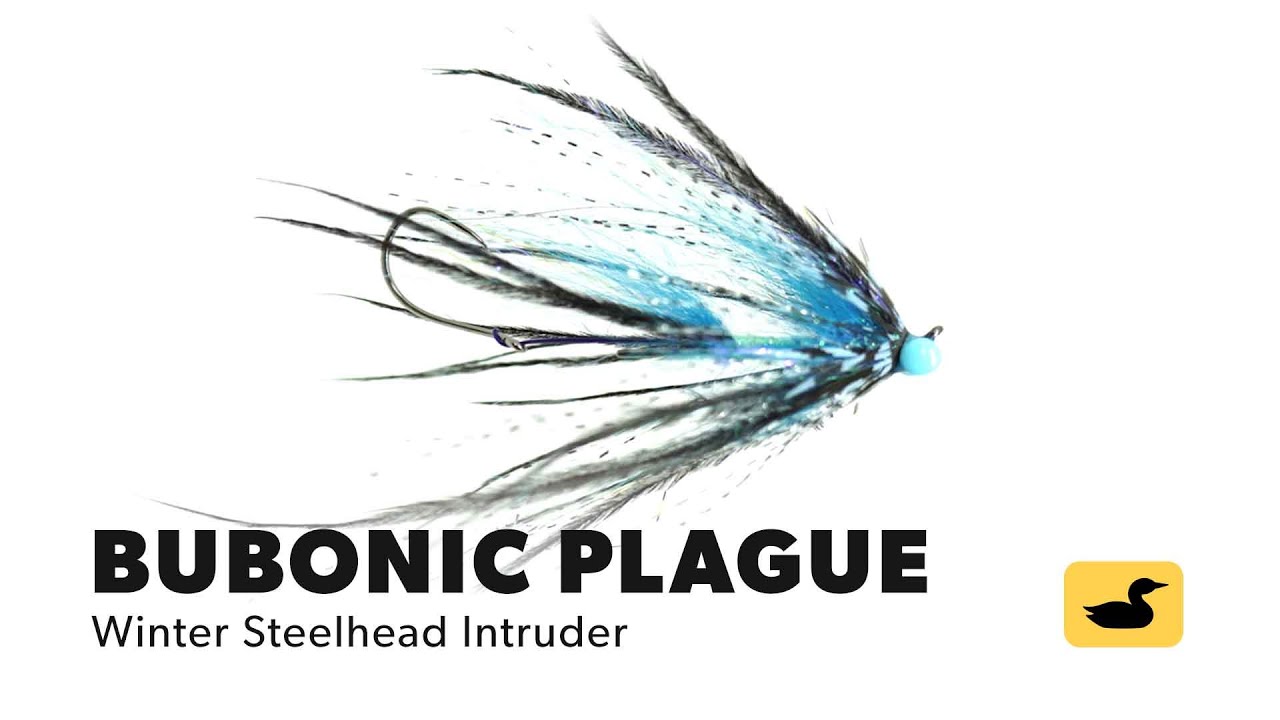 Fly Tying Tutorial: Bubonic Plague Intruder