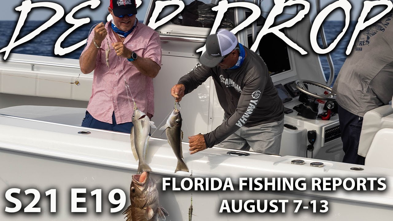 Deep Dropping in Florida! | Florida Fishing Reports in August