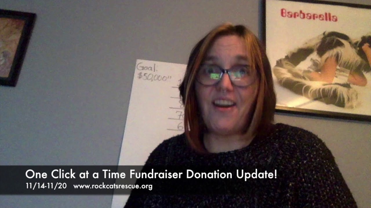 Rock Cats Rescue One Click at a Time Fundraiser