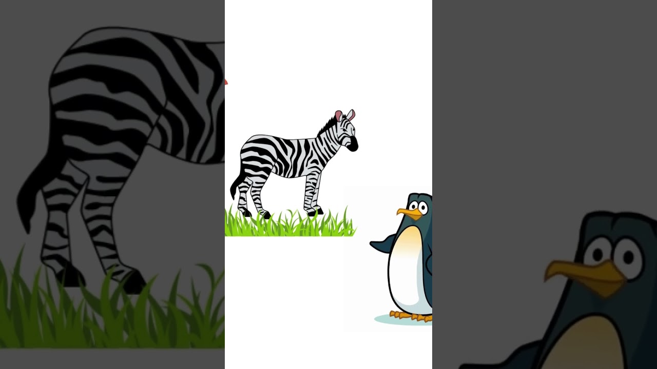 I'm learning about zebra #educational #animation #educationalanimation