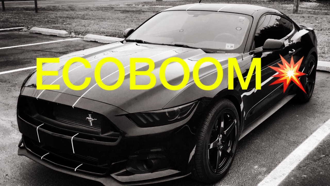 Ecoboom! How to prevent your Ecoboost Mustang from Blowing Up and next steps!