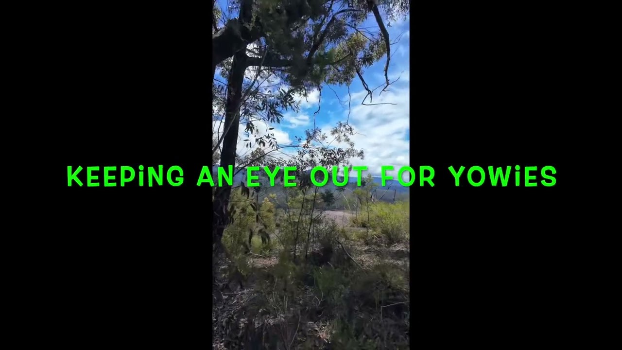 Purnoo Lookout Tallong NSW & Yowies