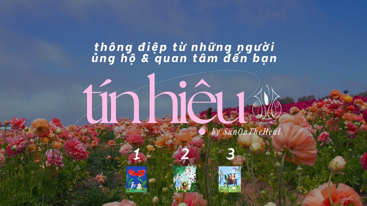 Thông điệp từ những người quan tâm, ủng hộ bạn🔮 chọn một tụ bài ☀️ timeless - tarot, oracle
