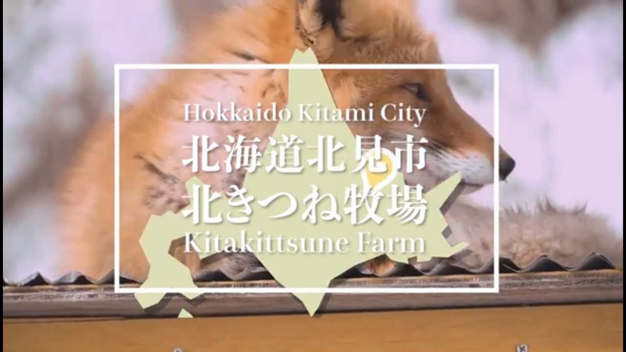 北きつね牧場 紹介動画