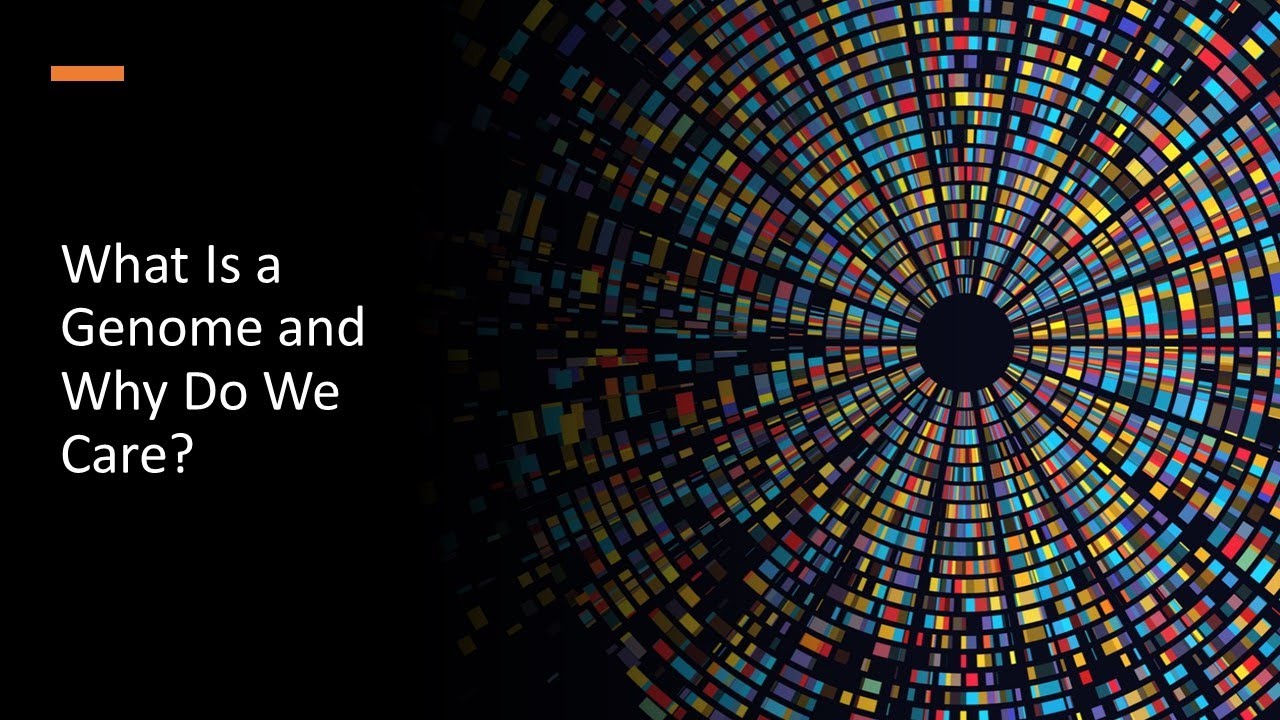What Is a Genome and Why Do We Care?