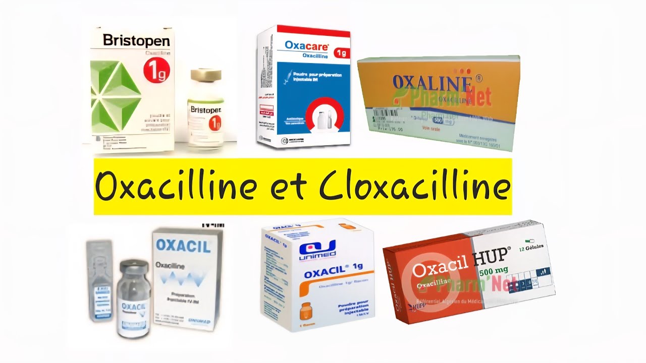 Oxacilline et Cloxacilline