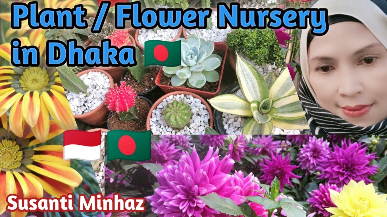 Plant And Flower Nursery In Dhaka | Doel Chattar Flower Nursery❗Penjual Tanaman Hias di Banglades