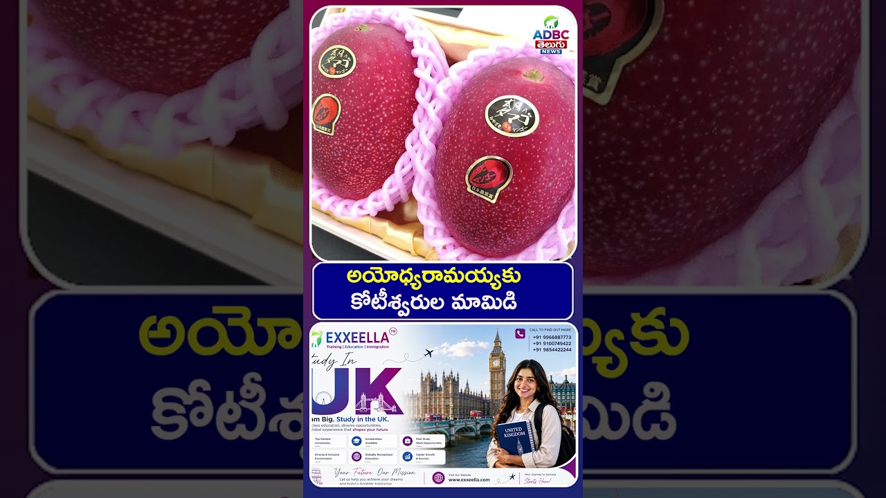 అయోధ్య రామయ్యకు కోటీశ్వరుల మామిడి | Rare Mangoes Presented to Ayodhya Ram | Ayodhya Ram Mandir |