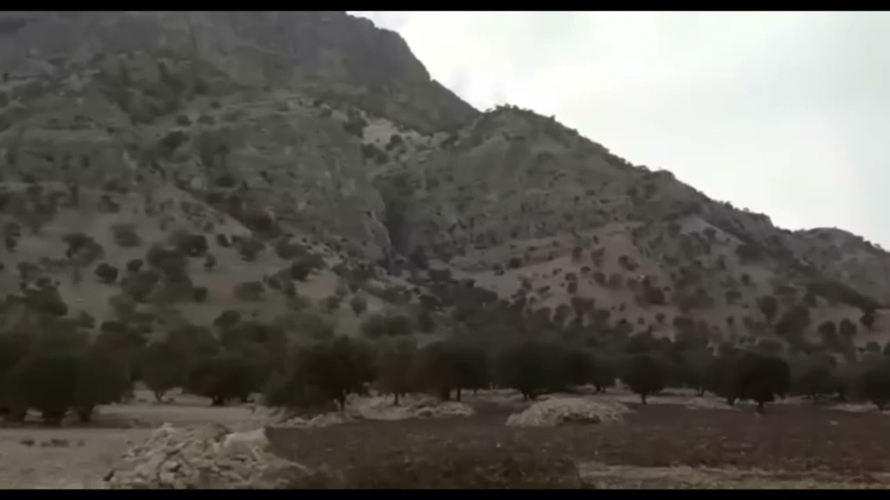 هوره کردی
