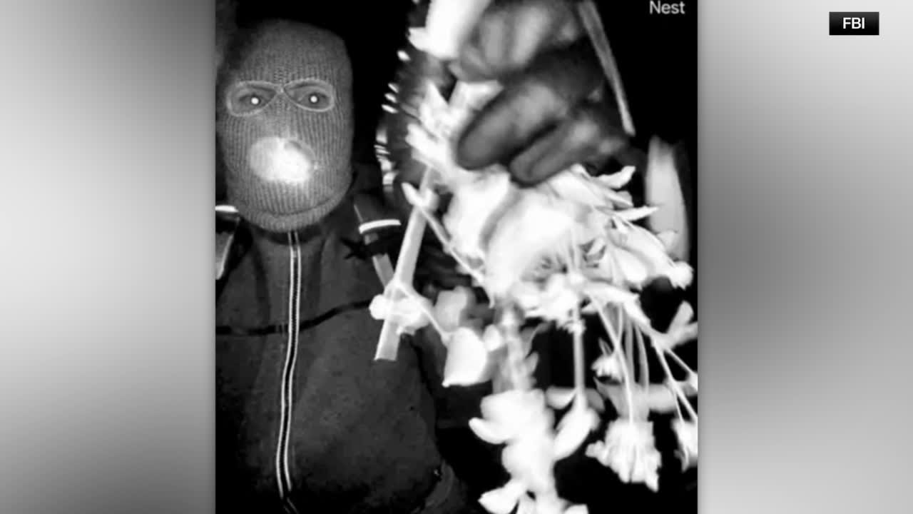 Doorbell camera images show masked subject in Nancy Guthrie case