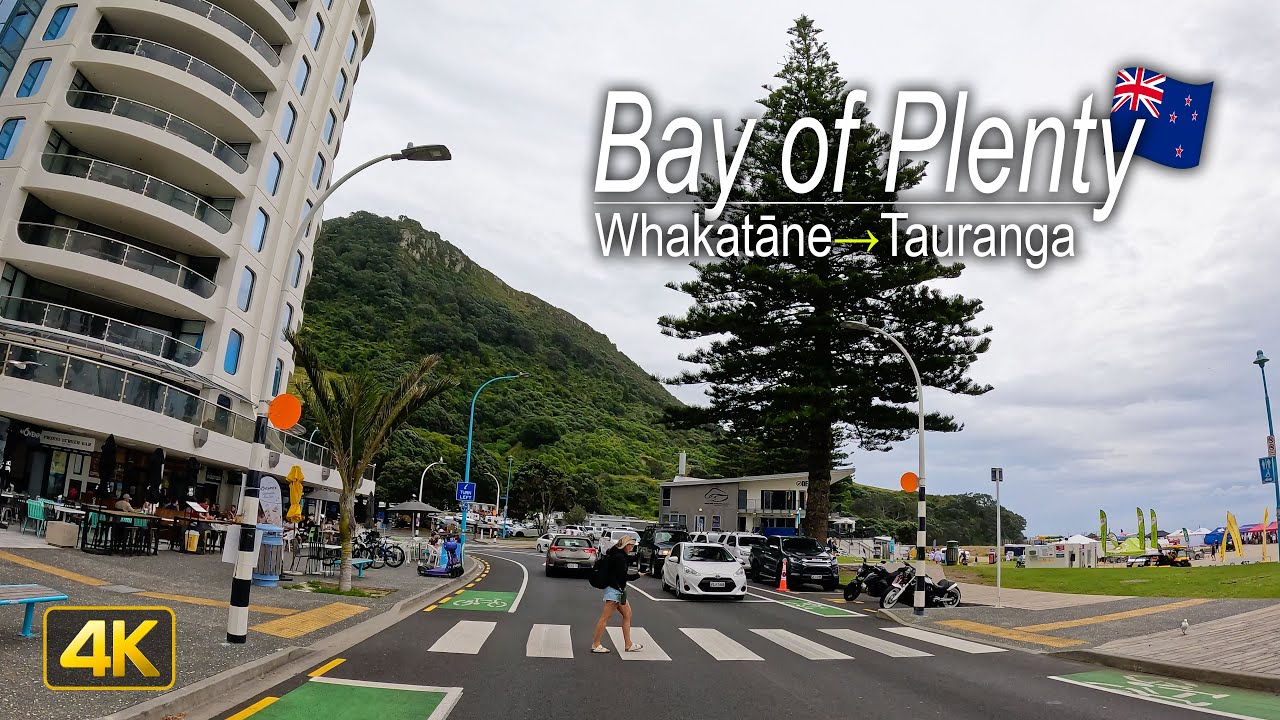 Driver’s View Road Trip 🇳🇿 | Whakatāne to Tauranga | New Zealand's Bay of Plenty coastal drive