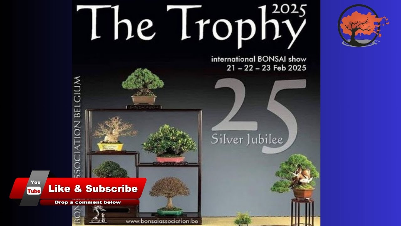 The Trophy 2025 Bonsai Show Features the Best Bonsai Trees in the World Right Now