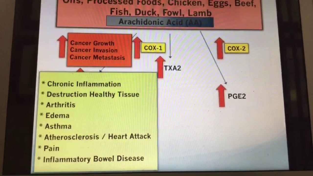 Why Bone Broth & Eggs are More Likely to Kill You than to Heal You.