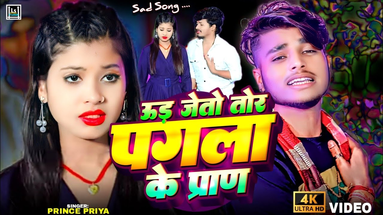 #nonstop​ #Prince​ Priya ka#bewafai​ #gazal​//ऊड़ जेतो तोर पगला के प्राण Pagla ke plan #maithiliGana