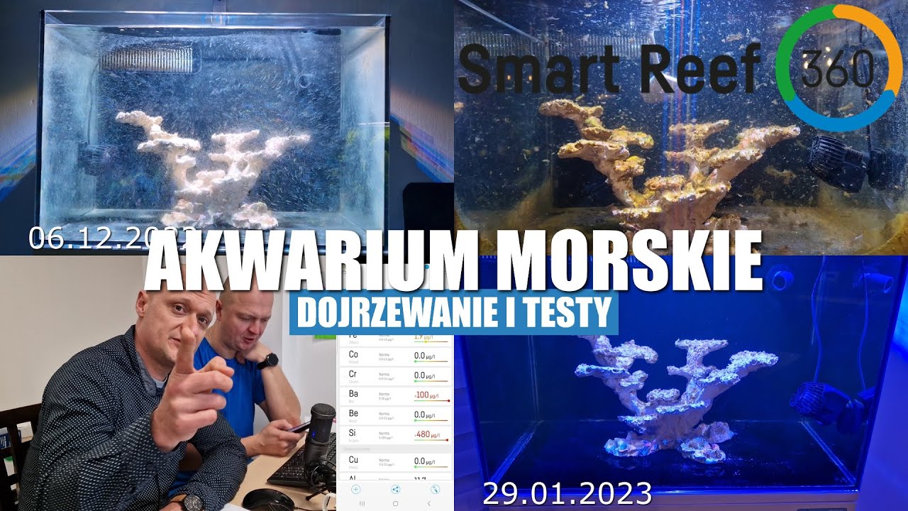 Akwarium Morskie Mitoja Capex 120 i Smart Testy Reef Factory od. 4 Dojrzewanie