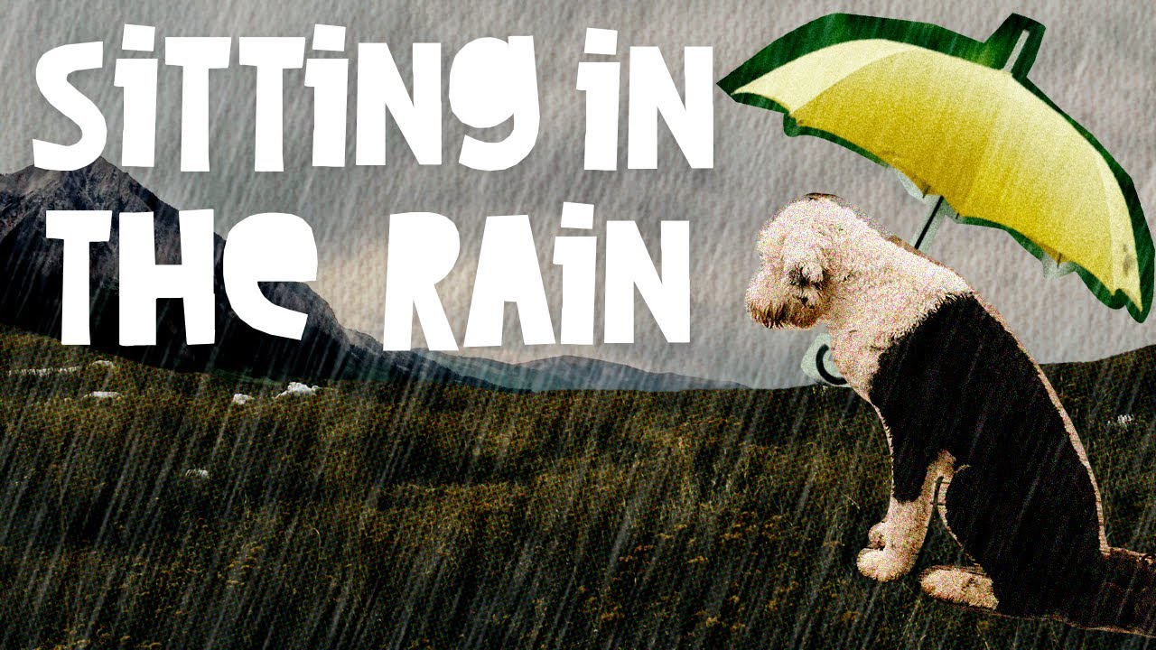 Sitting In The Rain - A Day With Bunny