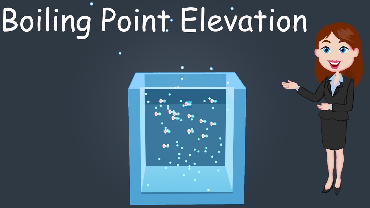 Boiling Point Elevation || 3d animated HINDI explanation ||Solution || chemistry || 12th class||