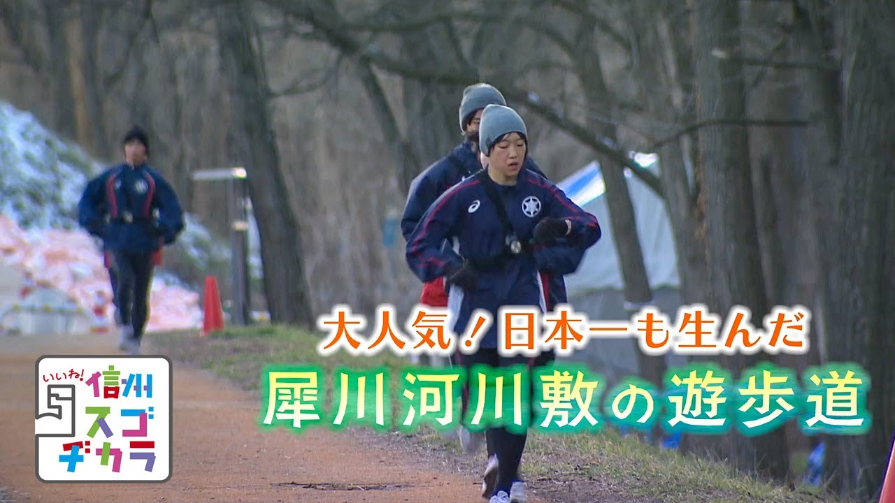 大人気！ 日本一も生んだ 犀川河川敷の遊歩道（いいね！信州スゴヂカラ 2023年3月11日）
