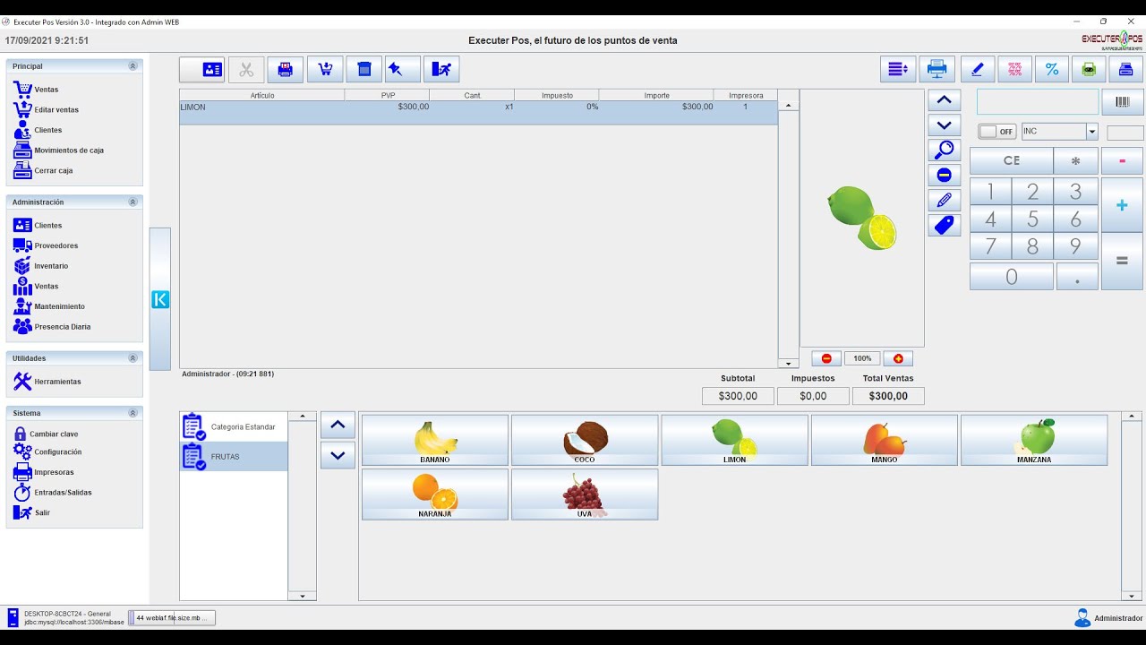 Executer POS, basado en Unicenta POS - Instalación