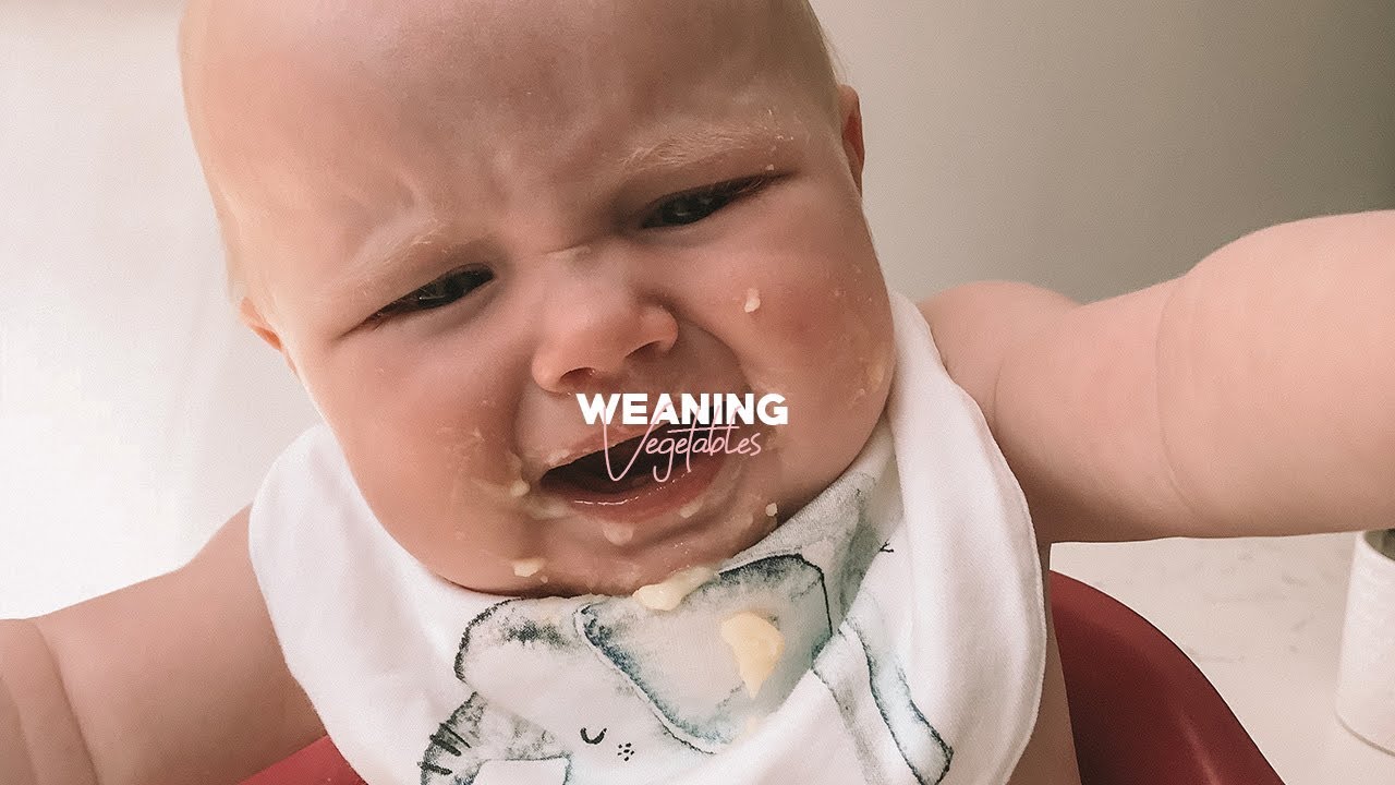 WEANING VEG AT FIVE MONTHS, BABY'S FIRST FOODS
