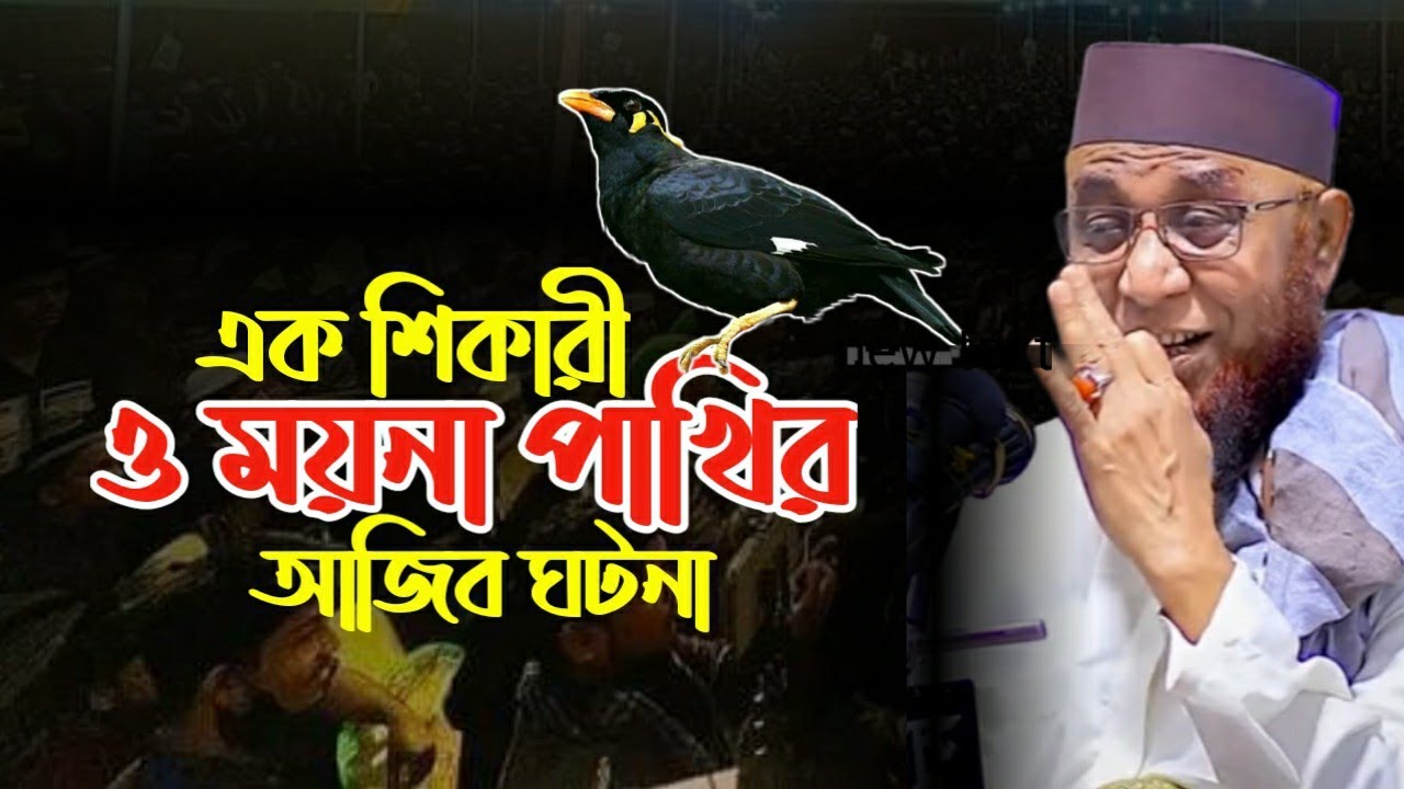 এক শিকারী ও ময়না পাখির আজিব ঘটনা  || Mufti Nazrul islam kasemi waz || নজরুল ইসলাম কাসেমী ওয়াজ