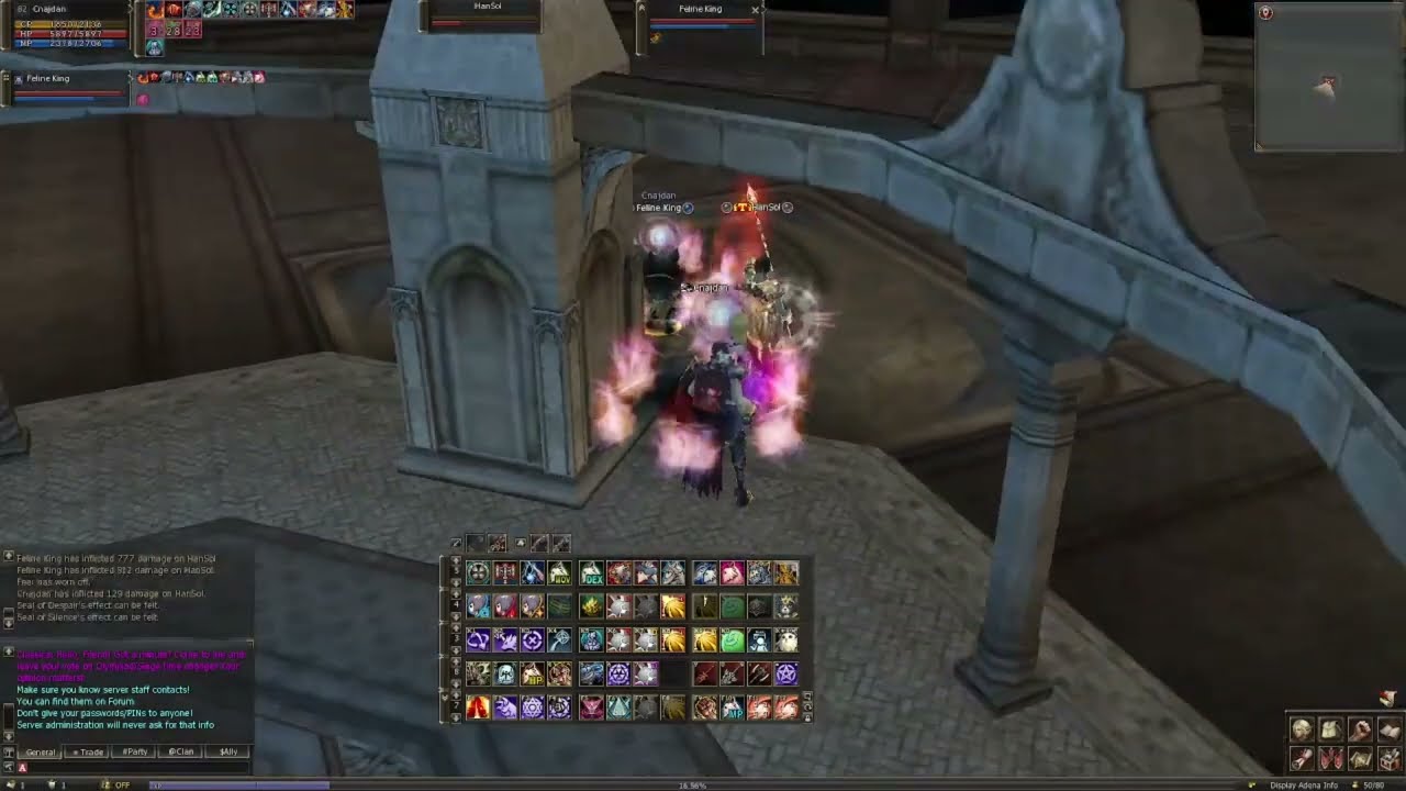 Lineage 2 Classic 82 lvl Cat-Arcana Lord Olympiad