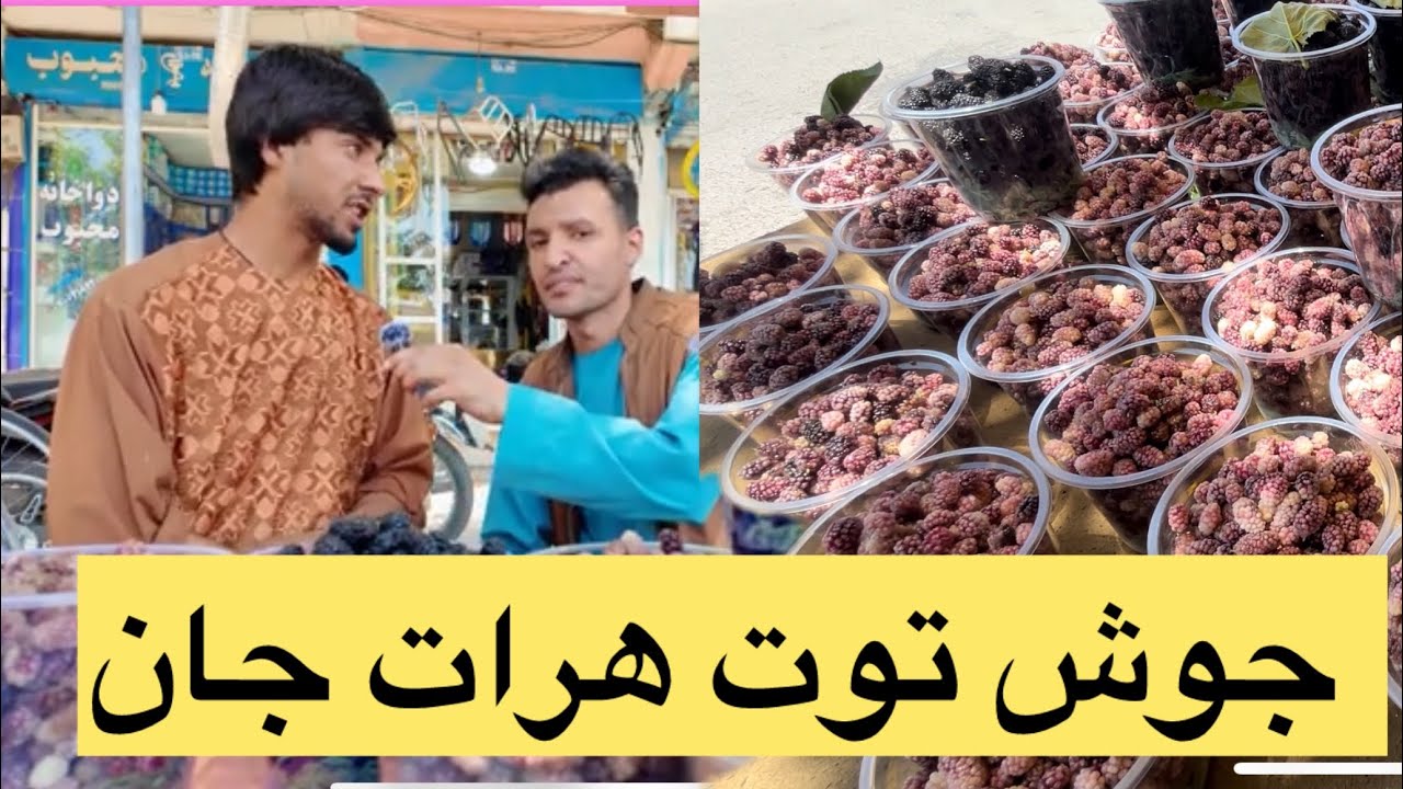 جوش توت هرات جانِ#هرات #توت_توت #herat