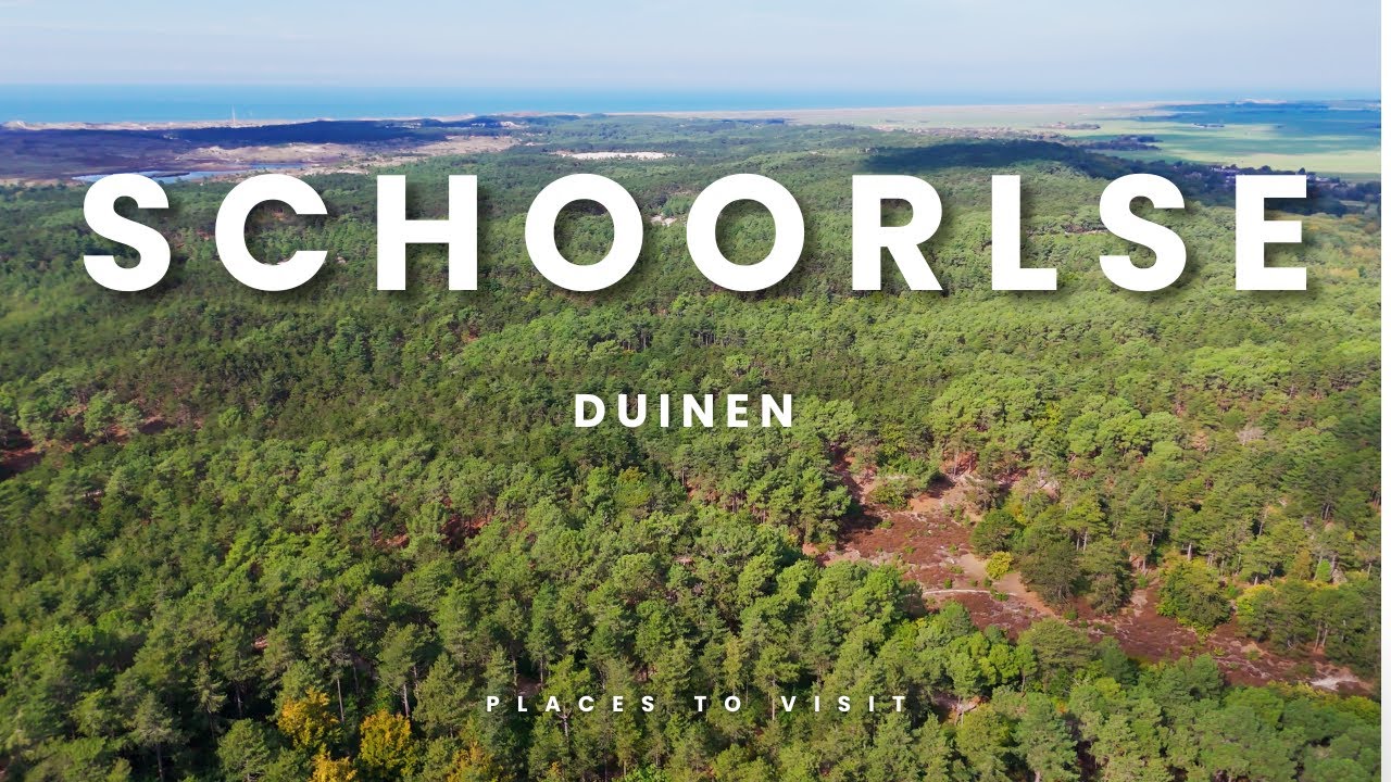 Schoorlse Duinen