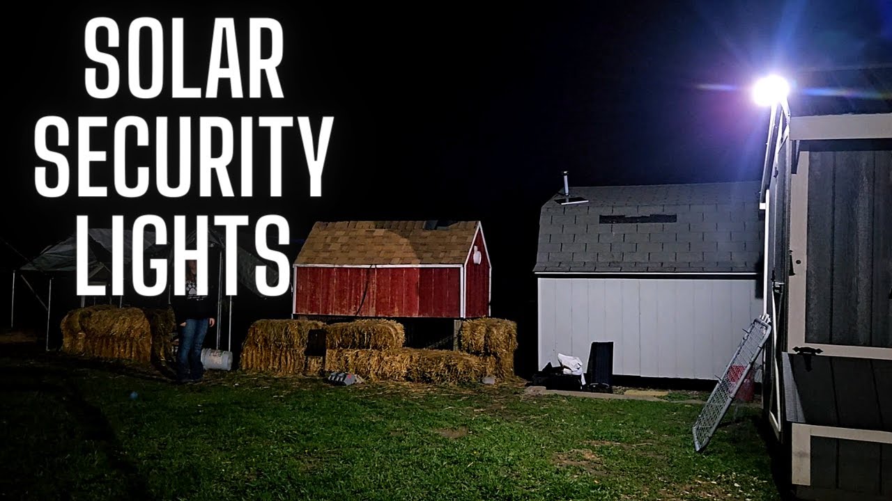 2 pack of security solar lights | Perfect for our chicken coop