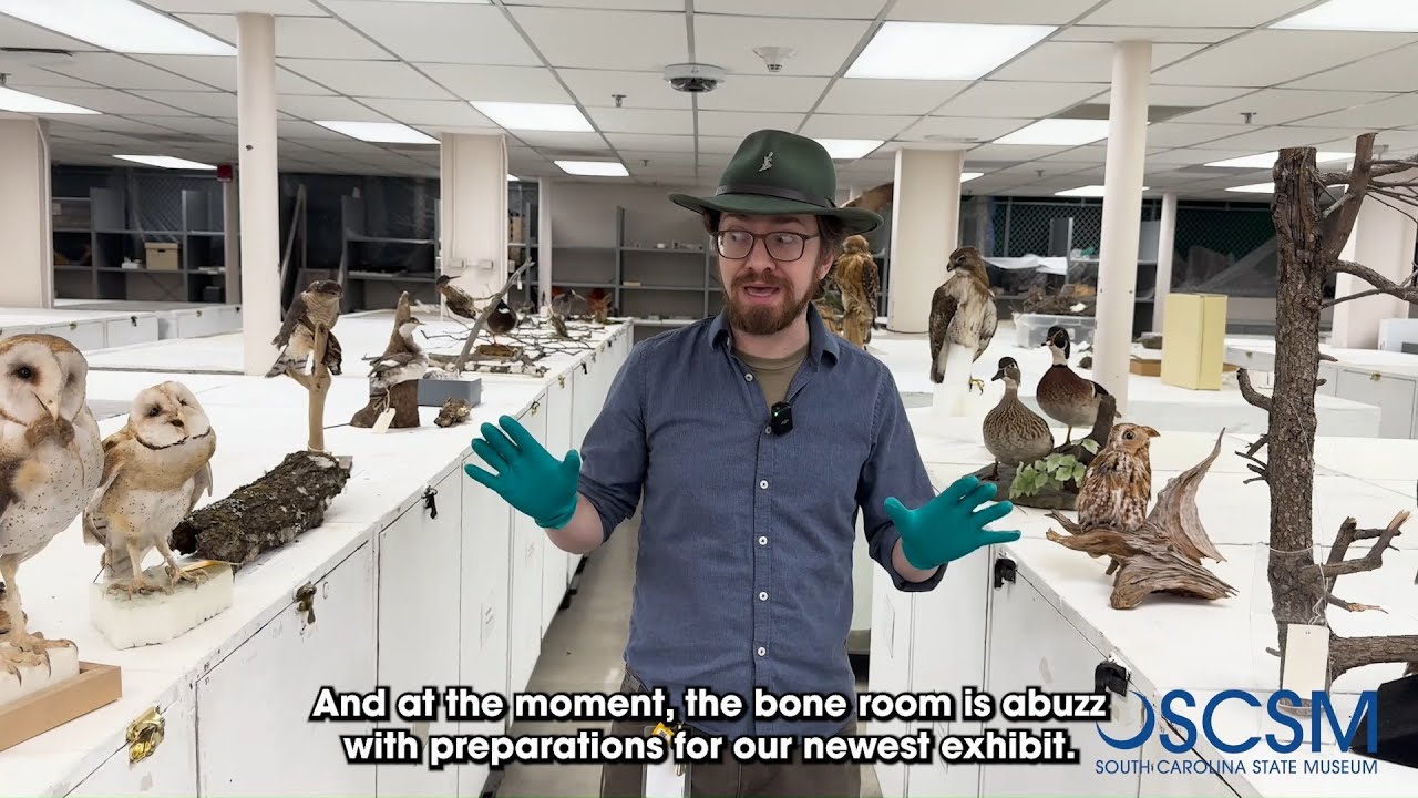 Step inside the Bone Room with SCSM Curator of Natural History Dr. W. Scott Persons
