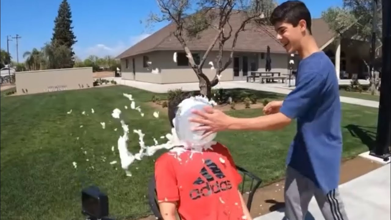 Pie to the face (34)(males pied)
