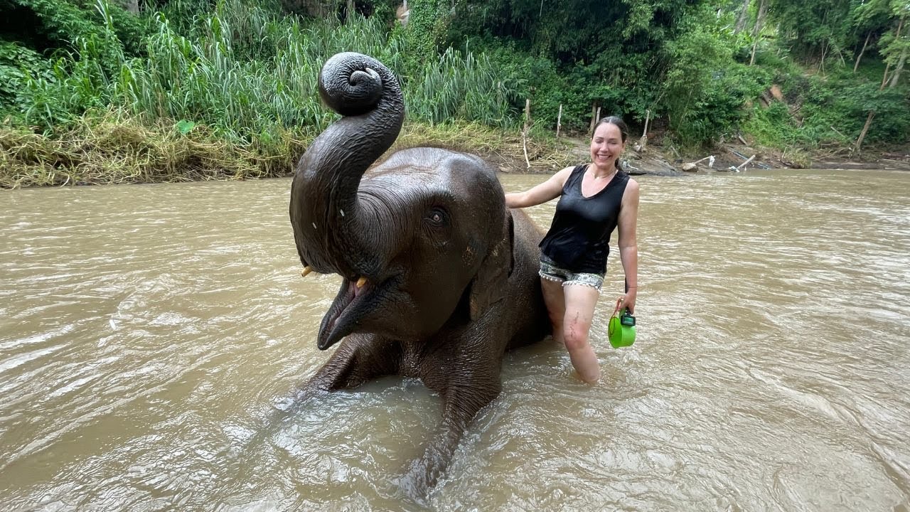 24 HORAS en un RESORT DE ELEFANTES en TAILANDIA 🐘🇹🇭  | GLADYS SEARA