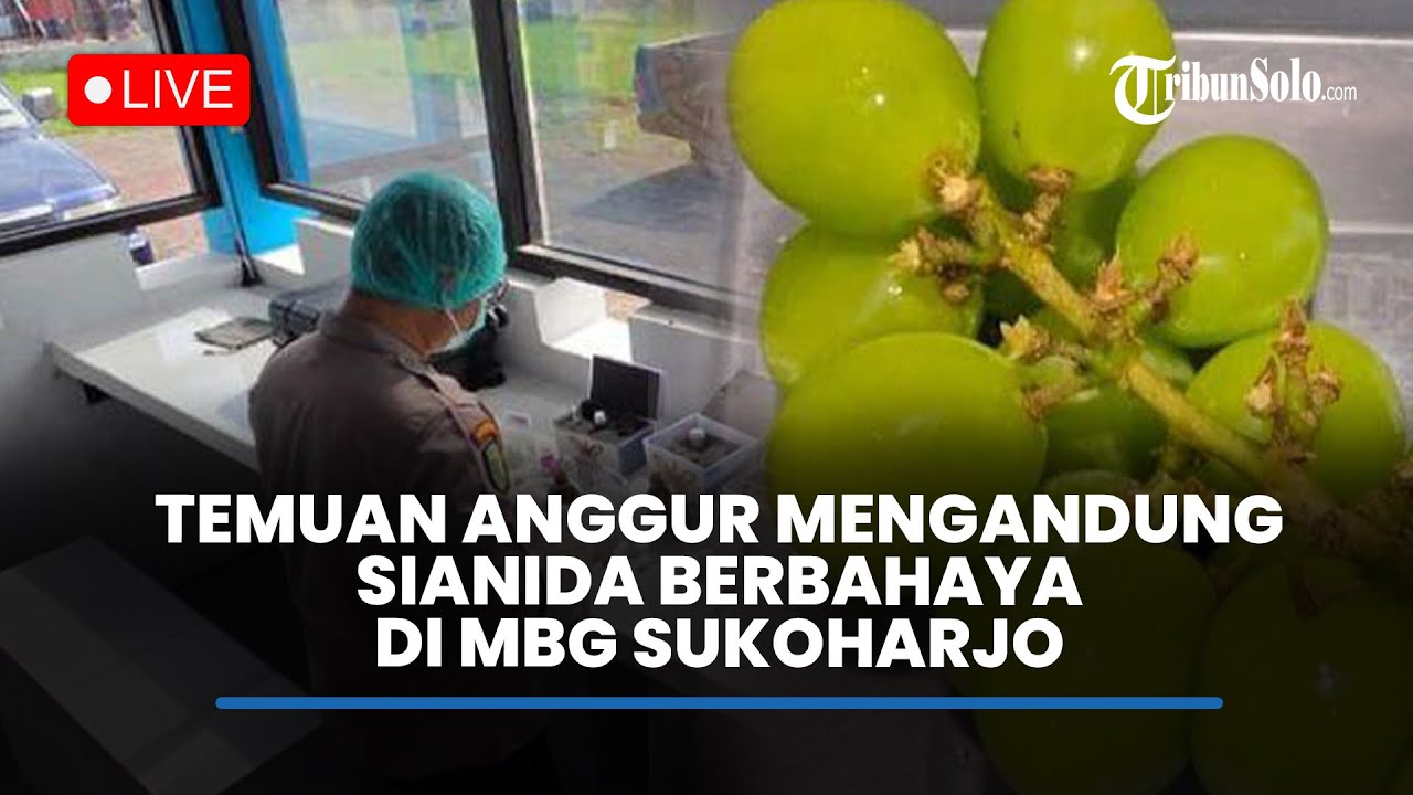 🔴LIVE : Temuan Anggur Mengandung Sianida Berbahaya di Menu MBG Sukoharjo, Capai 30 Miligram