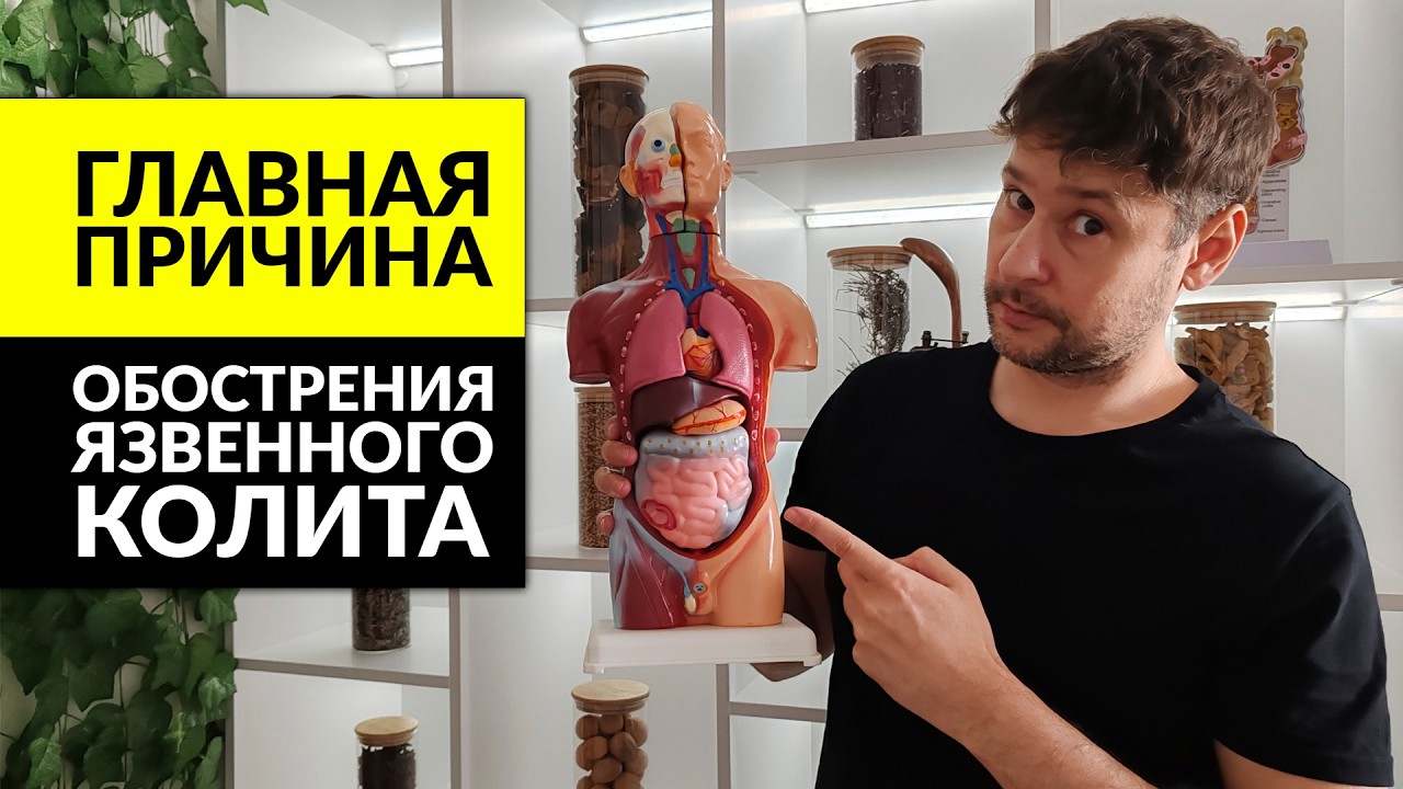 ОТ ПРОНИЦАЕМОСТИ КИШЕЧНИКА ДО ЯЗВЕННОГО КОЛИТА: Роль Короткоцепочечных Защитников