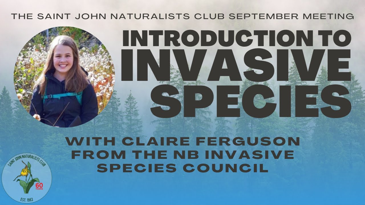 Intro to Invasive Species in New Brunswick with Claire Ferguson - Saint John Naturalists Club