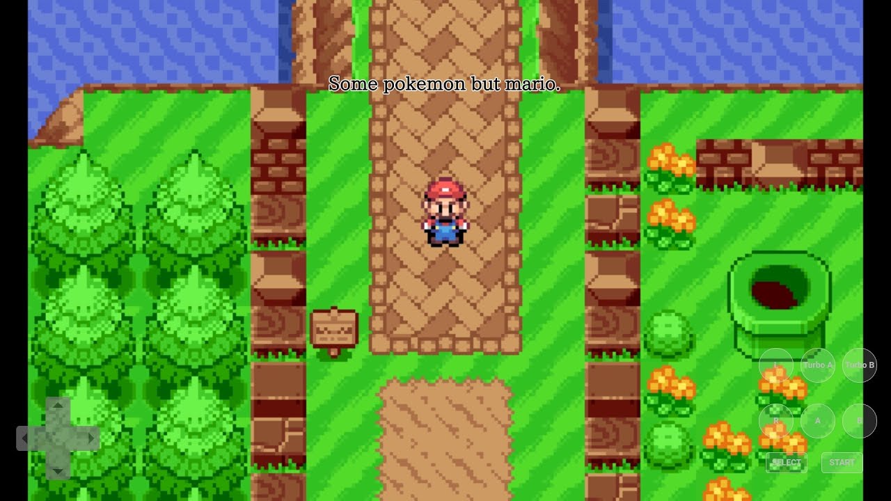 Some pokemon but mario.