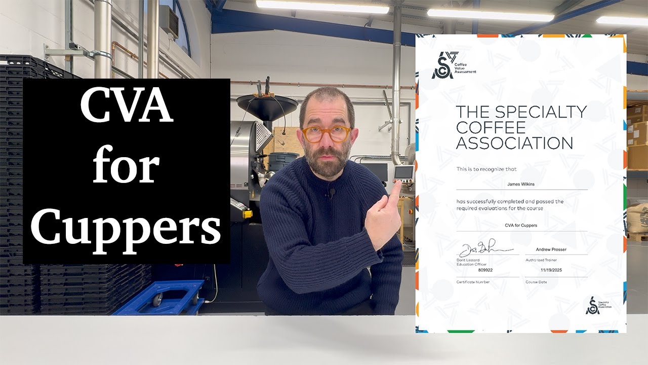 SCA CVA для Cuppers: мои первые мысли