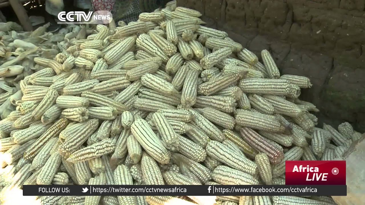 49 million people in southern Africa to be affected by drought