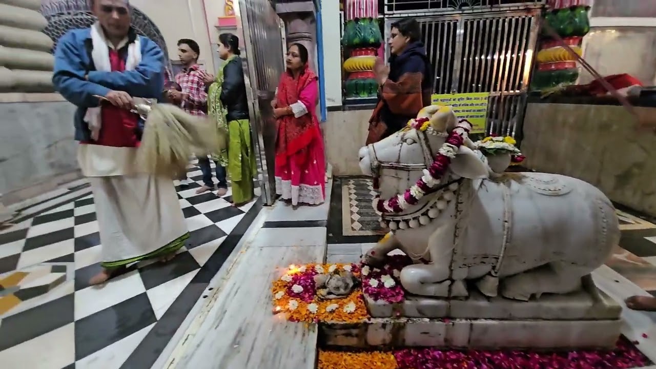 महादेव मन्दिर कनखल हरिद्वार श्री दक्षेश्वर महादेव मन्दिर #कनखल #महादेव #मन्दिर #शिव #शंकर #भोलेनाथ 
