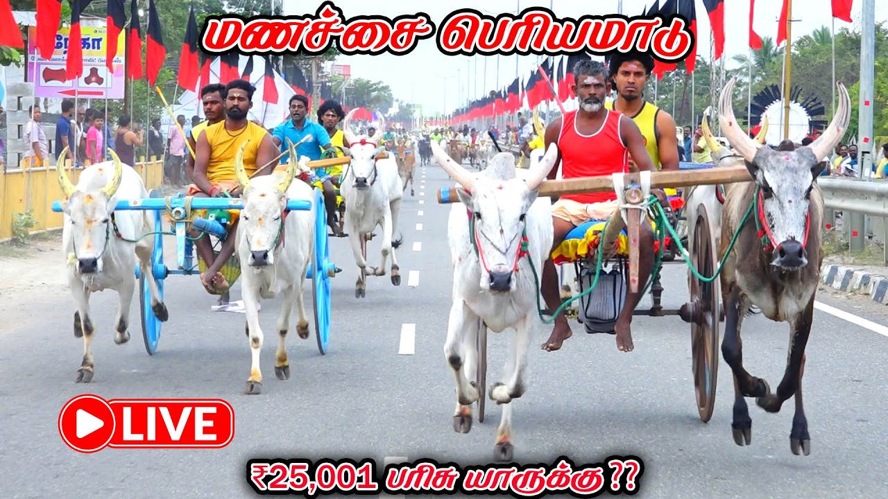 சிவகங்கை மாவட்டம் மணச்சை பெரியமாடு நேரலை 25k பந்தயம்