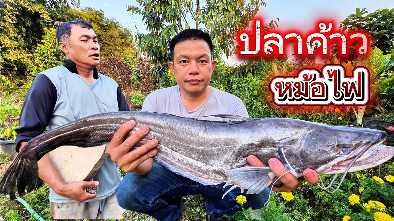 ป่าค้าวเขื่อนสิริกิติ์ ต้มยำหม้อไฟกินข้าวสวนทุเรียนน้าเล่