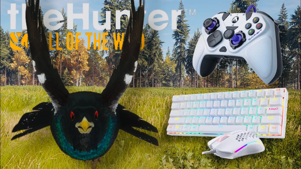 WHAT'S BETTER??? KEYBOARD AND MOUSE VS. CONTROLLER | Hypifed | theHunter : call of the wild