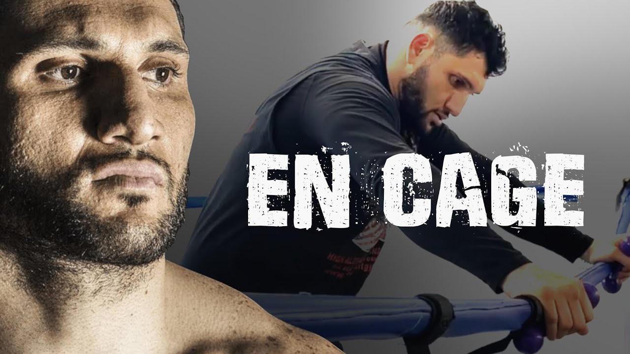 Arsen Goulamirian | Comme un lion en cage