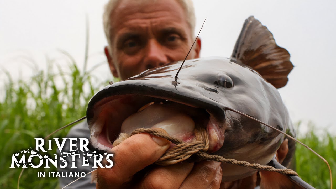 SPIRITO MALIGNO o PESCE GATTO GIGANTE? - River Monsters ITA Episodio Completo - S02 E05