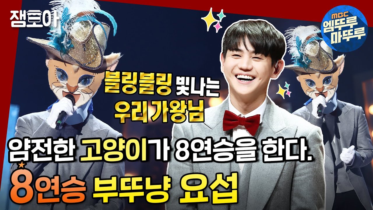 [복면가왕] 얌전한 고양이가 가왕에 올라간다💚 8연승에 빛나는 부뚜냥 요서비 모음 1 🐱ㅣ#양요섭 #부뚜막고양이 #엠뚜루마뚜루 MBC201122 방송