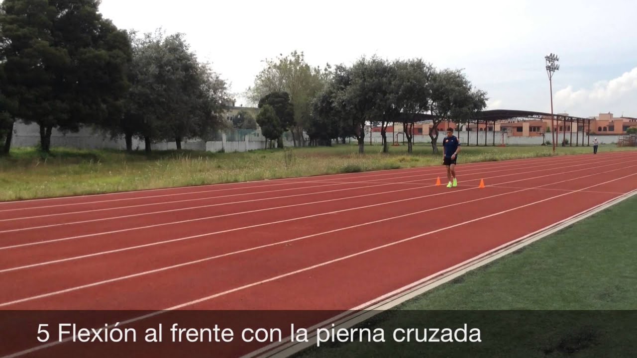 Rutina de Estiramientos Dinámicos