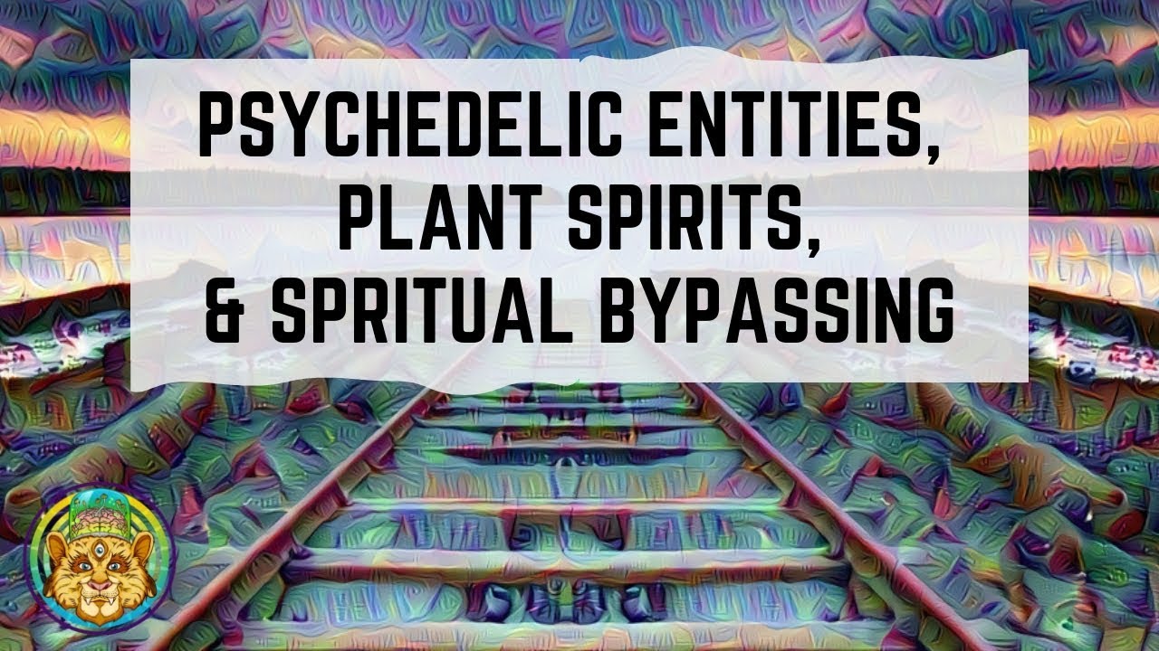 Psychedelic Entities, Plant Spirits, and Spiritual Bypassing
