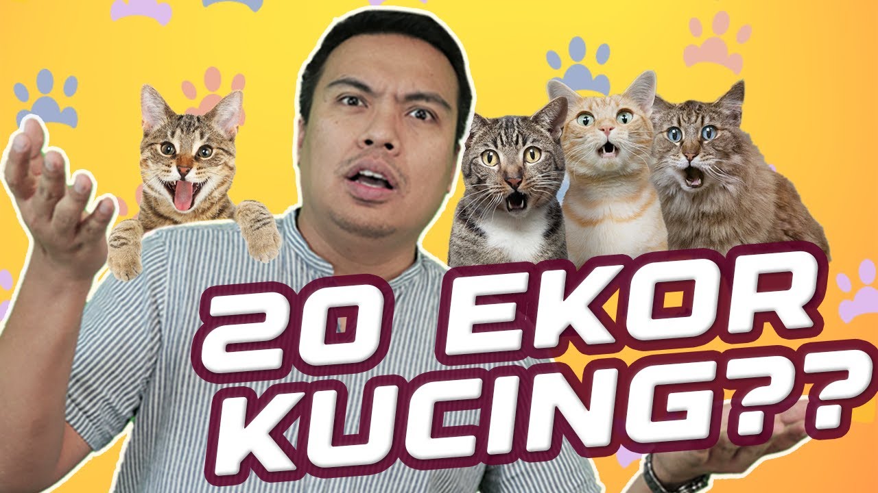 Lobak Merah Teka Bahasa Kucing!