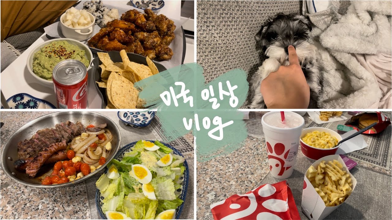 [미국 일상] 스테이크 | 김치 닭도리탕 | 닭 허벅지 살 카레 | 짜장밥 | 치킨 파마산 | 치킨 윙 소이 갈릭, 에이시안 징 | chick-fil-a | EP0055